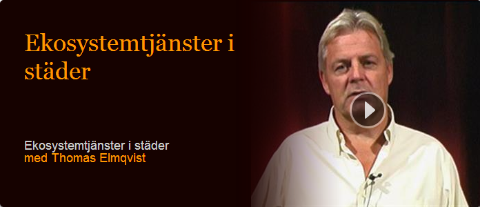 Skärmklipp Föreläsning